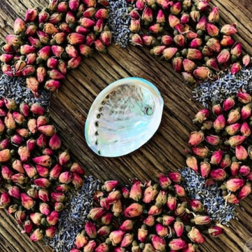 Inside of blue abalone shell on wooden table surrounded by rose buds